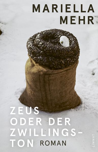 Cover von Zeus oder der Zwillingston