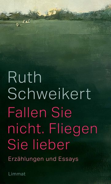 Cover von Fallen Sie nicht, fliegen Sie lieber