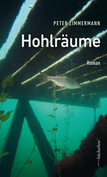 Cover von Hohlräume