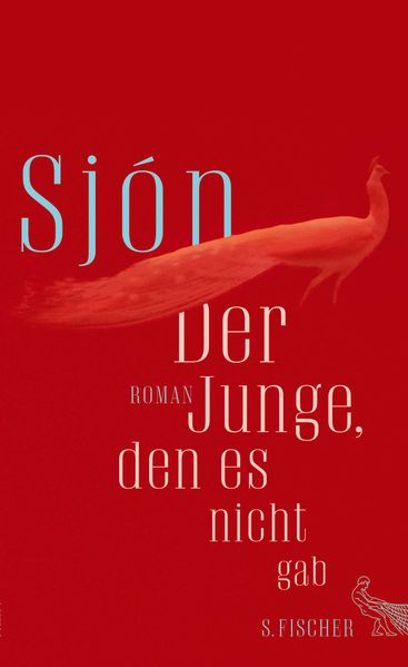 Cover von Der Junge, den es nicht gab