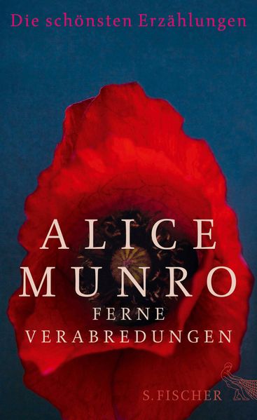 Cover von Ferne Verabredungen
