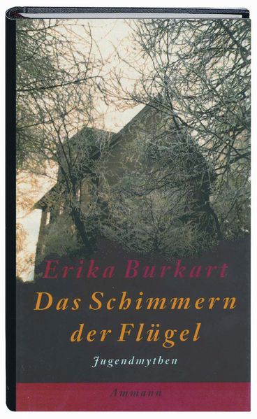 Cover von Das Schimmern der Flügel