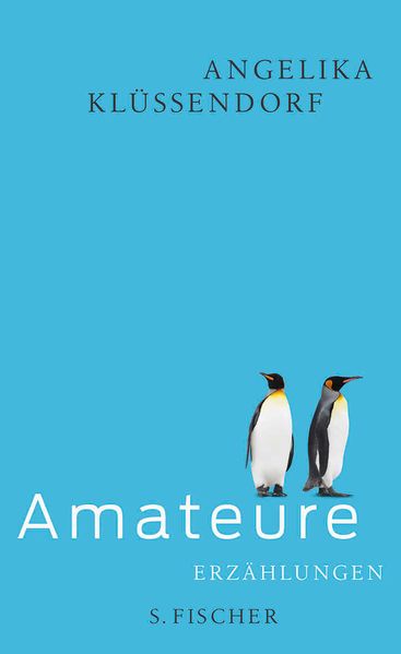 Cover von Amateure