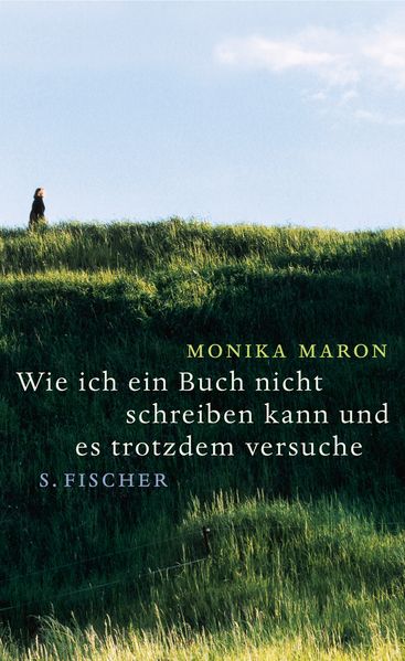 Cover von Wie ich ein Buch nicht schreiben kann und es trotzdem versuche