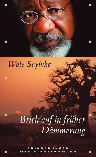 Cover von Brich auf in früher Dämmerung
