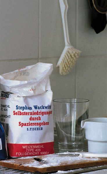Cover von Selbsterniedrigung durch Spazierengehen