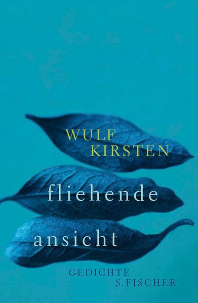 Cover von fliehende ansicht