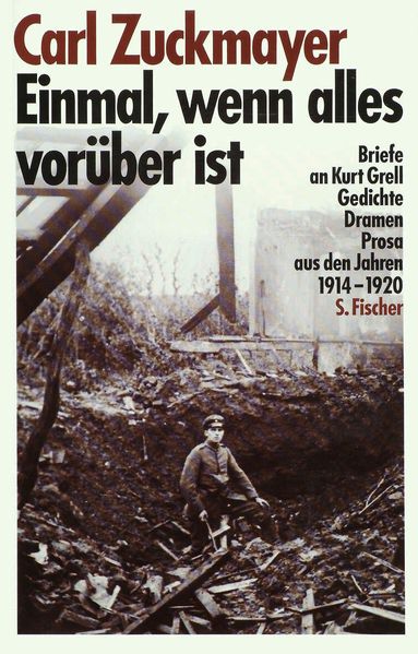 Cover von Einmal, wenn alles vorüber ist