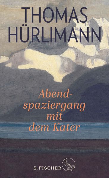 Cover von Abendspaziergang mit dem Kater