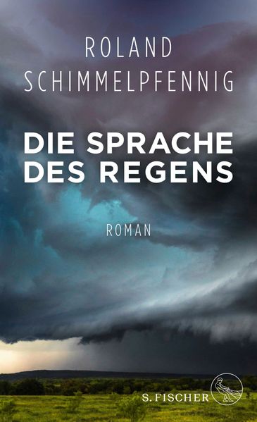 Cover von Die Sprache des Regens