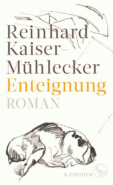 Cover von Enteignung