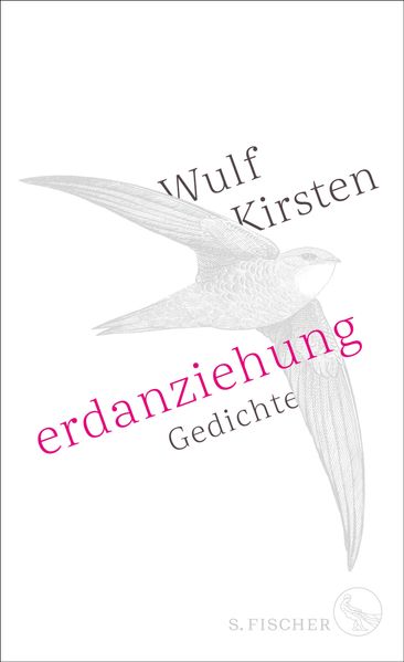 Cover von Erdanziehung
