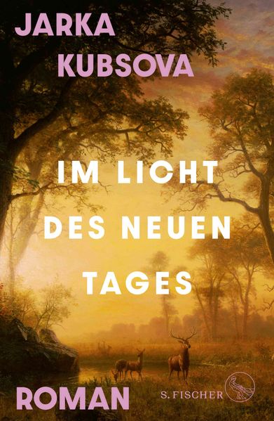 Cover von Im Licht des neuen Tages