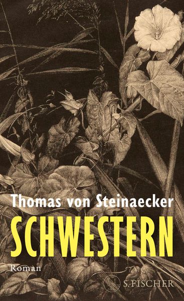 Cover von Schwestern
