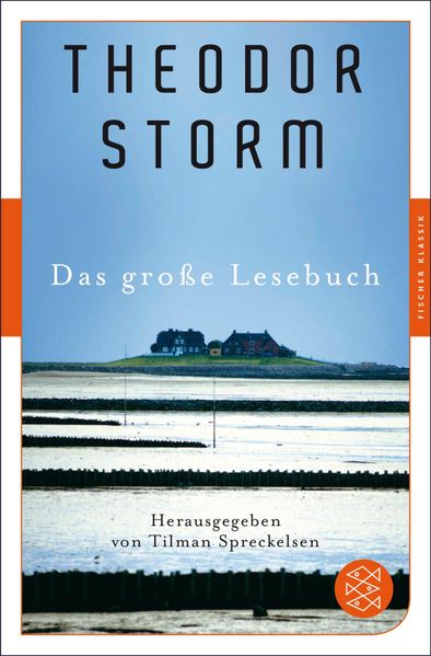 Cover von Fischer Klassik Plus / Das große Lesebuch