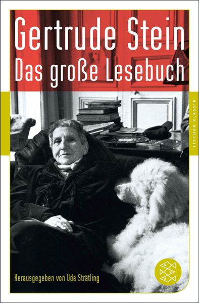 Cover von Fischer Klassik Plus / Das große Lesebuch