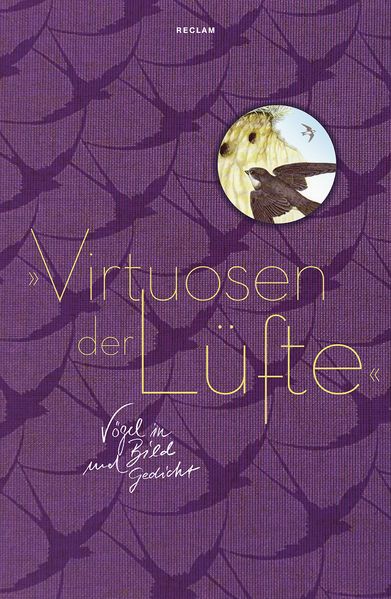 Cover von »Virtuosen der Lüfte«