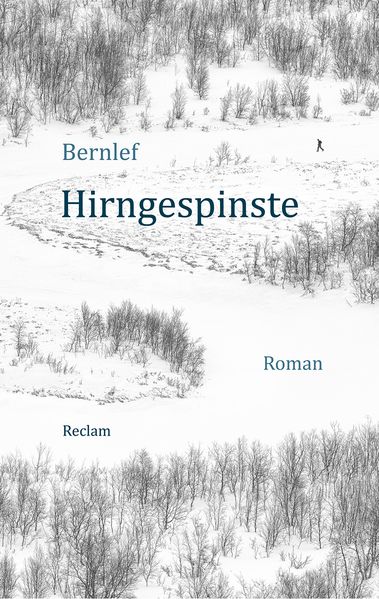Cover von Hirngespinste