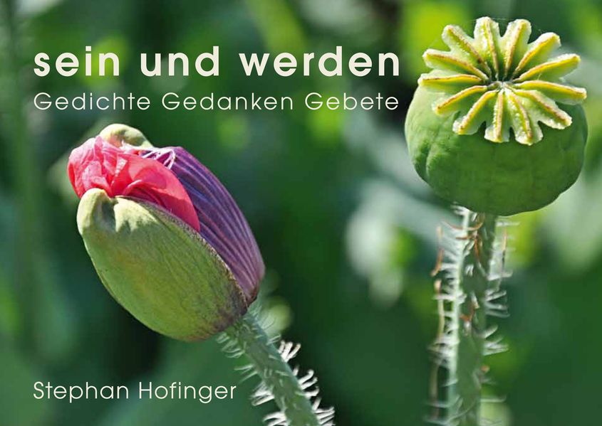 Cover von sein und werden