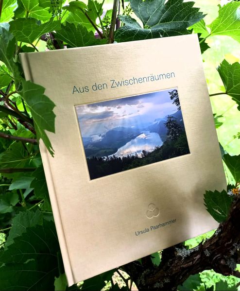 Cover von Aus den Zwischenräumen