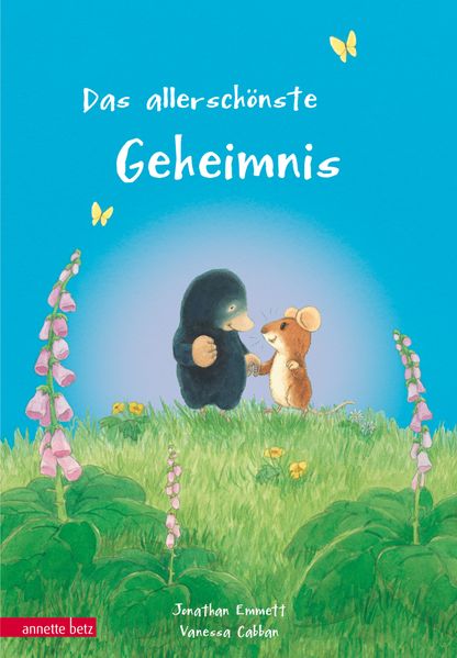 Cover von Das allerschönste Geheimnis