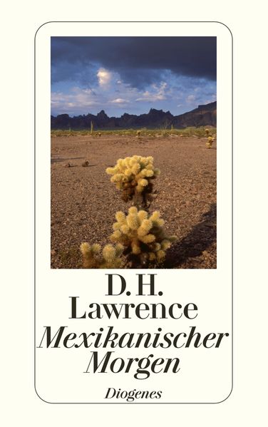 Cover von Mexikanischer Morgen