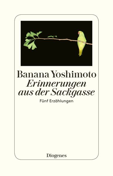 Cover von Erinnerungen aus der Sackgasse