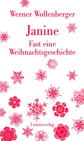Cover von Janine – Fast eine Weihnachtsgeschichte