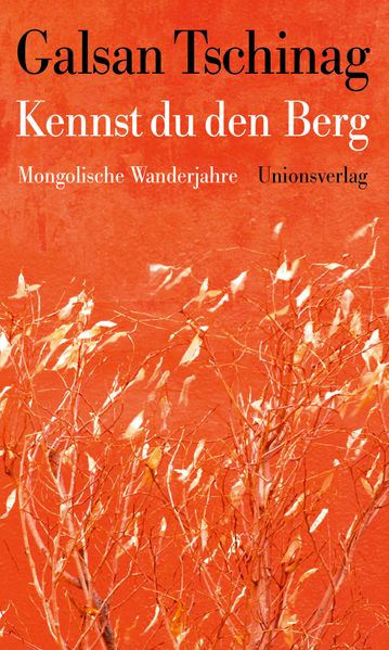 Cover von Kennst du den Berg