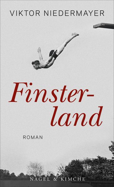 Cover von Finsterland