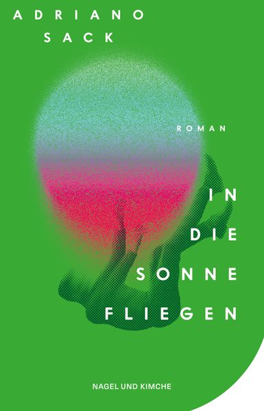 Cover von In die Sonne fliegen