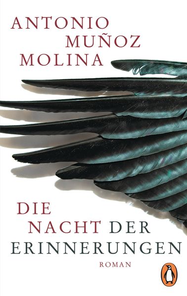Cover von Die Nacht der Erinnerungen