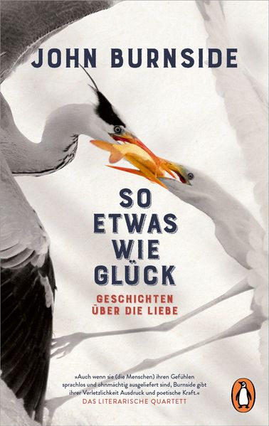 Cover von So etwas wie Glück