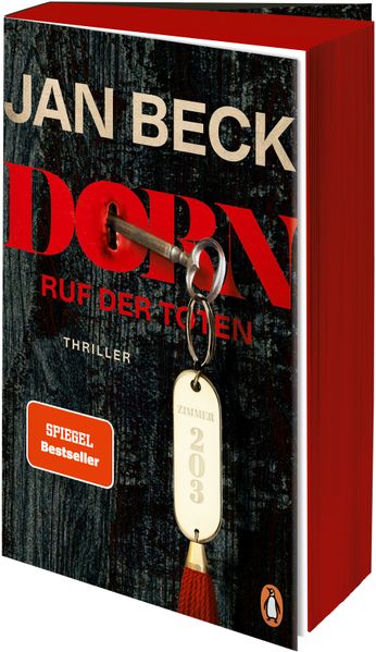 Cover von Dorn – Zimmer 203