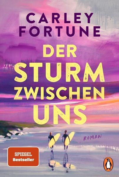 Cover von Der Sturm zwischen uns