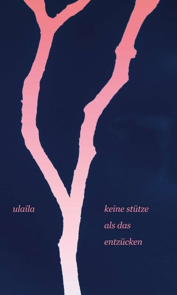 Cover von keine stütze als das entzücken
