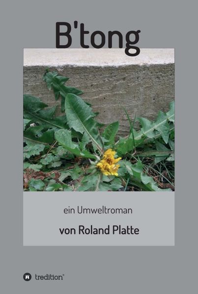 Cover von B’tong