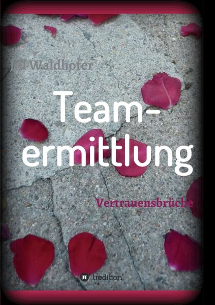 Cover von Teamermittlung