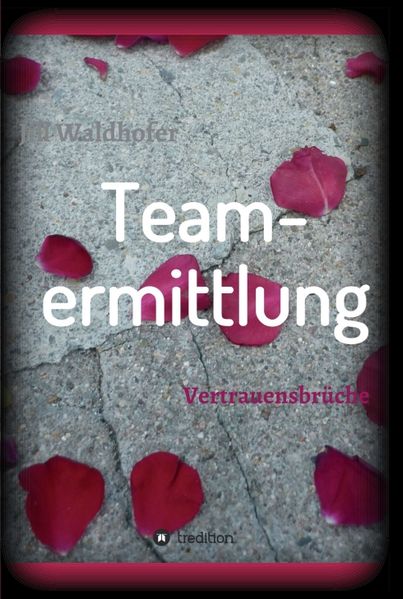 Cover von Teamermittlung