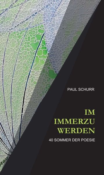 Cover von IM IMMERZU WERDEN