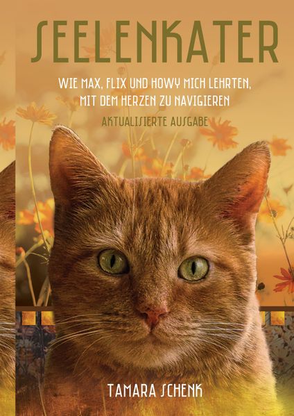 Cover von Seelenkater