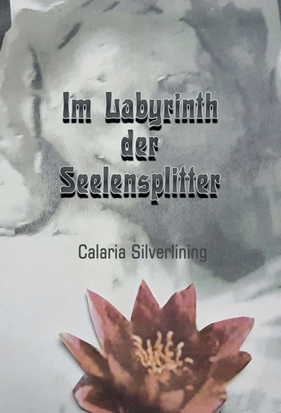 Cover von Im Labyrinth der Seelensplitter