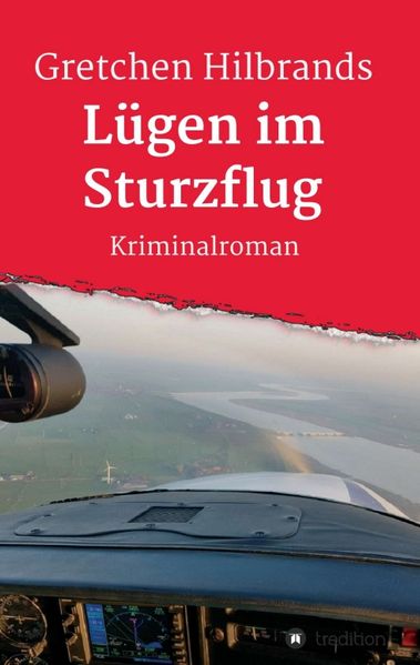 Cover von Lügen im Sturzflug