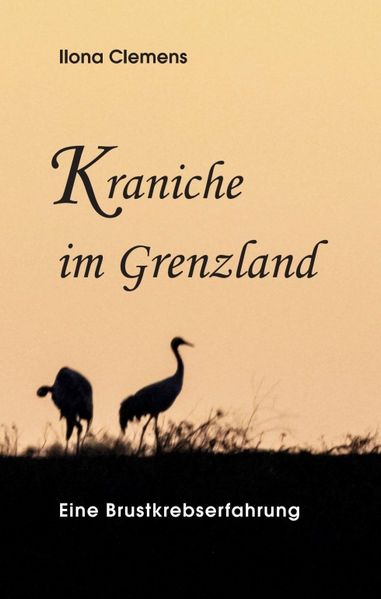 Cover von Kraniche im Grenzland