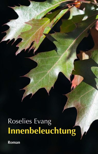 Cover von Innenbeleuchtung