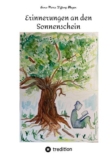 Cover von Erinnerungen an den Sonnenschein