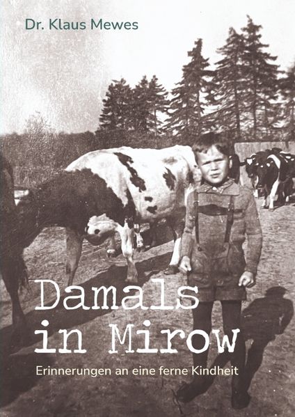 Cover von Damals in Mirow