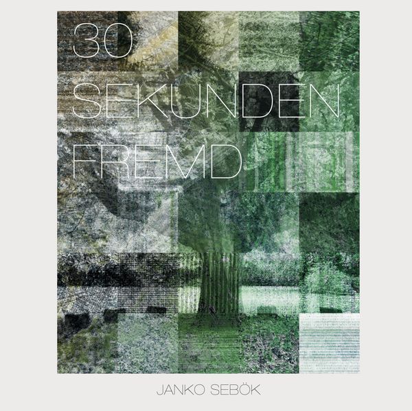 Cover von 30 Sekunden fremd