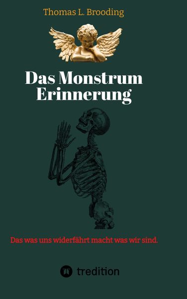 Cover von Das Monster Erinnerung. Manchen Schmerz möchte man vergessen. Aber nach über 60 Lebensjahren lässt sich auch von Engeln der Erinnerung berichten