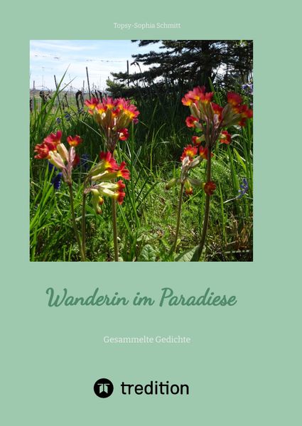 Cover von Wanderin im Paradiese